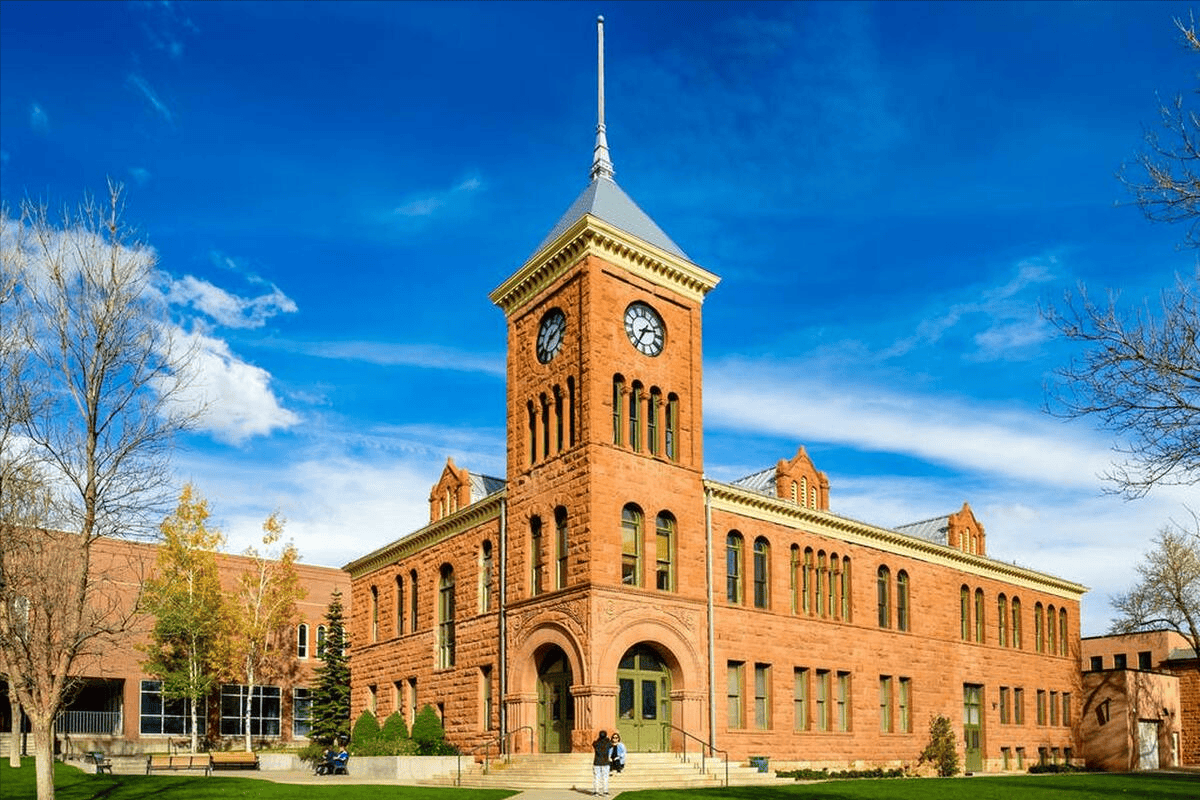 新不伦瑞克大学